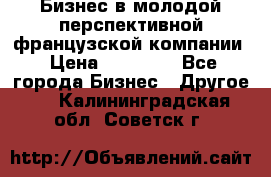 Бизнес в молодой перспективной французской компании › Цена ­ 30 000 - Все города Бизнес » Другое   . Калининградская обл.,Советск г.